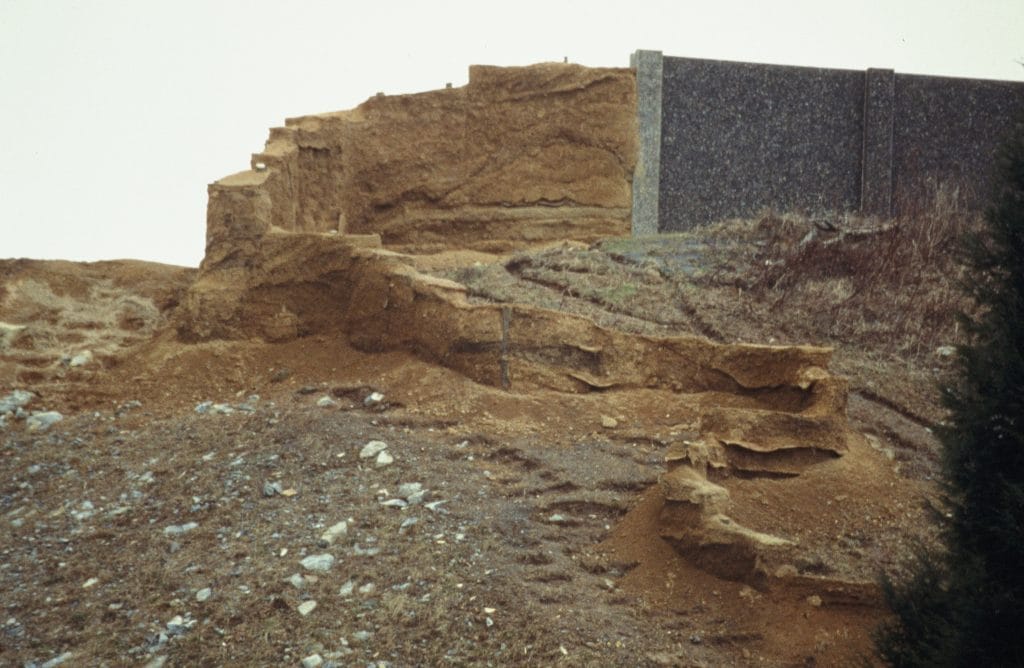 The Dragon's Tail - Public Art - Lycia Trouton