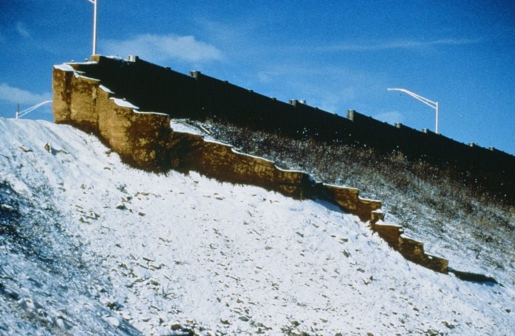 The Dragon's Tail - Public Art - Lycia Trouton