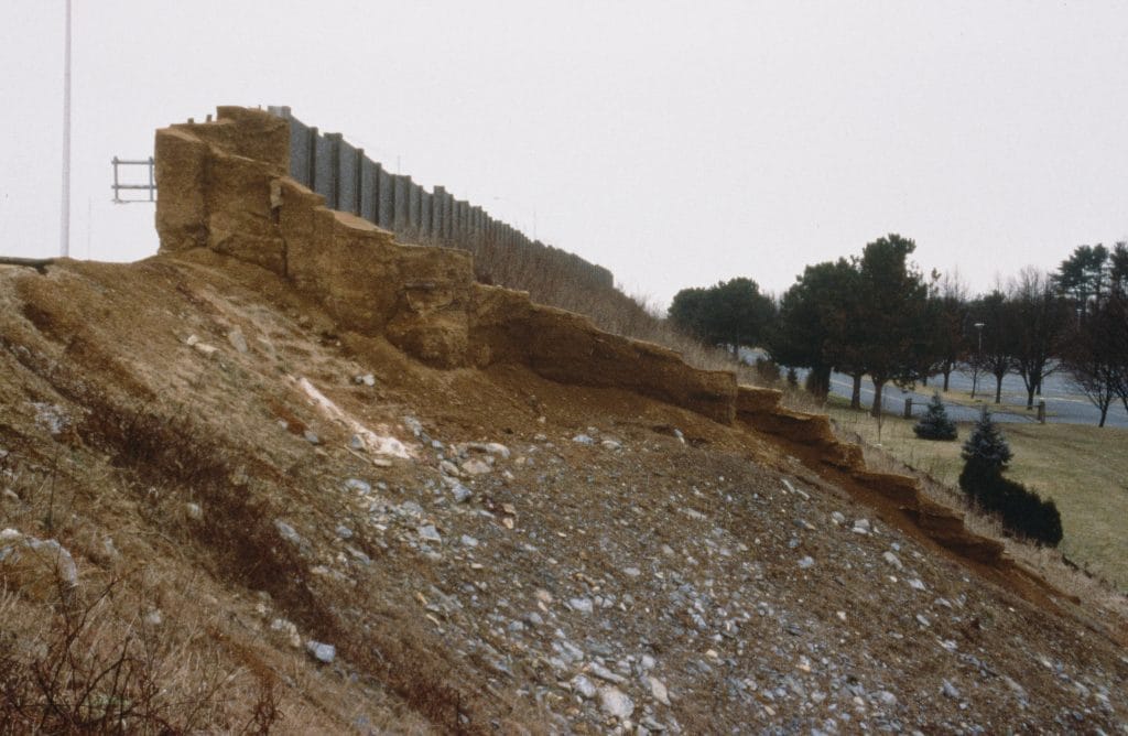 The Dragon's Tail - Public Art - Lycia Trouton