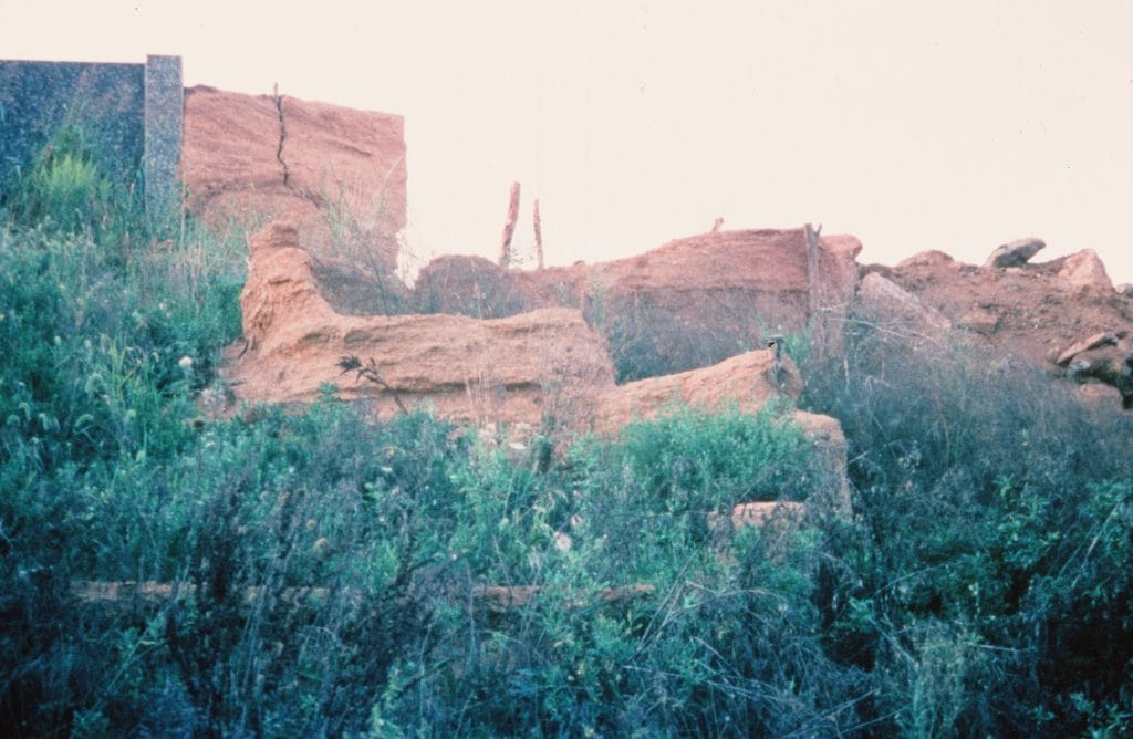 The Dragon's Tail - Public Art - Lycia Trouton